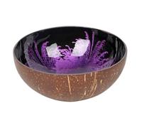 Coconut Decorative Bowl,Handcrafted Coconut Shell Key Bowl Fruit Snack Holder Container for Door Entryway Table Dry Snacks