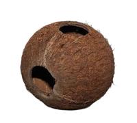 Coconut shell JBL Cava 1/1L