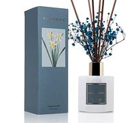 Cocorrína Premium Reed Diffuser Set with Preserved Baby's Breath & Cotton Stick Cashmere Vanilla | 6.7oz Scent Fragrance Oil Diffuser for Bedroom Bathroom Home Décor
