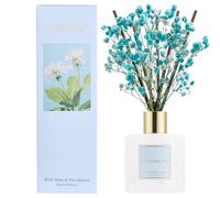 COCORRÍNA Reed Diffuser Set, 200ml Wild Mint & Eucalyptus Scented Diffuser with Sticks Home Fragrance for Bedroom Bathroom Living Room, Home & Office Decor