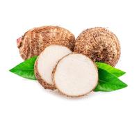 Cocoyam / Taro Root / Eddo / Malanga 9-10kg - Fresh Premium Starchy Roots for Boiling, Frying, Soups, Stews, African, Caribbean & Asian Cuisine, Restaurants & Catering