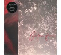 Tiny Dynamite/Echoes in a Shallow Bay