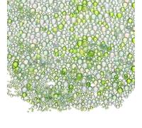 CoCud Iridescent Glass Tiny Bubble Beads, 0.4-3mm 10g No Hole Micro Mini Round Green Water Droplets Beads - Applications: for Resin Filler, Nail Art, Dollhouse Bath Tub