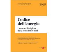 Codice dell'energia. La nuova disciplina delle fonti rinnovabili