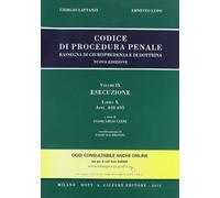 Codice di procedura penale. Rassegna di giurisprudenza e di dottrina vol. 9 - Esecuzione. Libro X (artt. 648-695)