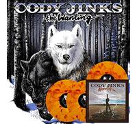 Cody Jinks - The Wanting After The Fire [VINYL]