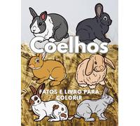 Coelhos: Fatos & Livro para Colorir: Livro de Atividades para Crianças dos 2 aos 16 Anos