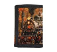 COEQINE Cat Wallet Trifold Black for Teens Boys Moneybag Orangizer With Coin Pocket Outdoor Sport For Travel Accessories, retro Steam train