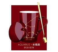 Coffee Cups 12 Constellations Milk Mugs Ceramic Mug with lid Spoon Aquarius-red