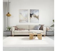 Coffee Table Set 2pcs Grey Sonoma 50x46x35cm Engineered Wood & Metal Mid-Century