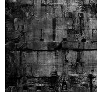 Coffin Dancer - Pax Romana [VINYL]