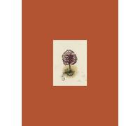 coffret ARBRES: Coffret en 3 volumes : Nous irons au bois ; Bois profonds ; Printemps rouge. Avec 12 cartes postales