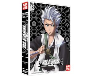 Coffret bleach, saison 4, vol. 18 (DVD)