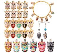 COGCHARGER 30 Pcs Owl Enamel Charms Pendants Colorful Owl Charms Pendant for Jewelry Necklace Earring Keychain Making Crafts