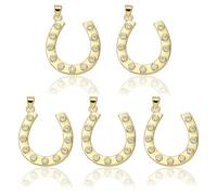 COGCHARGER 5Pcs Horseshoe Charms for Jewellery Making 18K Gold Plated Brass Western Charms Micro Pave Cubic Zirconia Horseshoe Pendants Hanging Ornament for DIY Bracelet Necklace Earring Crafts