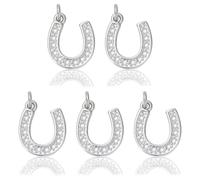 COGCHARGER 5Pcs Horseshoe Charms for Jewellery Making Brass U Shape Western Charms Micro Pave Cubic Zirconia Horseshoe Pendants Hanging Ornament for DIY Bracelet Necklace Earring Crafts (Platinum)