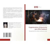 Cogénération d’électricité par effet Seebeck: Récupération de la chaleur perdue ou à venir
