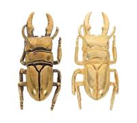 COHEALI 2 Pieces Beetle Shaped Cabinet Knobs: Vintage Brass Drawer Knobs - Decorative Cabinet Furniture Fittings, Insect Handles for Dresser, Drawer, Wardrobe