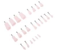 COHEALI 24pcs Teaching Model with 24 Removable Teeth and Screw, Full Typodont Structure Resin and Metal Practice Model for Human Anatomy Education Demonstrations and Student Training