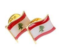 COHEALI 2pcs Lebanon Flag Brooch Pins for Scarf and Hat, Alloy Metal Lapel Badge with Meticulously Crafted Design, Compact and Versatile Use for Formal Events and Wardrobe Accessories