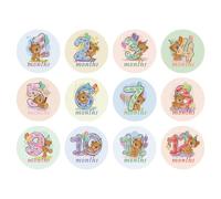 COHEALI Milestone Stickers Paper Monthly Stickers That Do Not Hurt Clothing or Leave Black Glue Stain 12pcs and Boys for Capturing Monthly Milestone Age a Shower