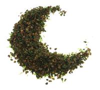 COHEALI Realistic Mini Leaves Bag for Model Scenery Leaf and Diorama Scenery with Fade Resistant Design and Easy to Install for Hobby Projects and Landscape Layout