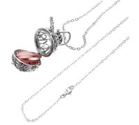 COHEALI Stainless Steel Urn Necklace for Ashes Keepsake Memorial Pendant Lightweight Pet and Human Ashes Jewelry Memorial Jewelry