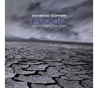Cohen, Avishai - Flood