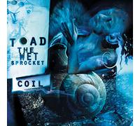 Coil