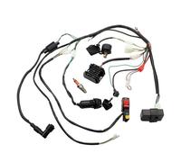 Coil Magneto Stator For 50cc 70cc 90cc 110cc 125cc Electric Start Magneto Flywheel Stator ATV Quad Wire Harness CDI Kit(125 150 200 250CC)