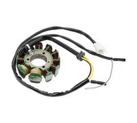 Coil Magneto Stator For Explorer Rex Kreidler Barossa 250 ATV Quad Generator Stator 35560-CBT-00