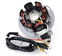 Coil Wire Magneto Stator Compatible With Gas For Gas 2003-2004 For Wild For HP300 Motorcycle Generator Stator Coil ME250034005