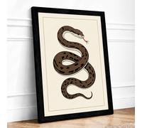 Coiled Serpent Study Botanical Framed Wall Art Print A2 (59.4×42cm) Black, Wall Decor for Living Room, Bedroom, Office & Home, Ready to Hang, Art Gift