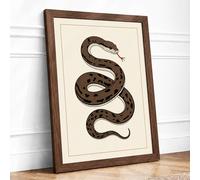 Coiled Serpent Study Botanical Framed Wall Art Print A2 (59.4×42cm) Walnut, Wall Decor for Living Room, Bedroom, Office & Home, Ready to Hang, Art Gift