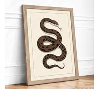 Coiled Serpent Study Botanical Framed Wall Art Print A4 (29.7×21cm) Oak, Wall Decor for Living Room, Bedroom, Office & Home, Ready to Hang, Art Gift