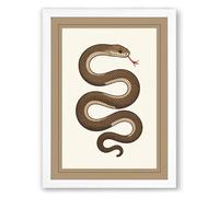 Coiled Serpent Vintage Framed Wall Art Print A3 (42×29.7cm) White, Wall Decor for Living Room, Bedroom, Office & Home, Ready to Hang, Art Gift