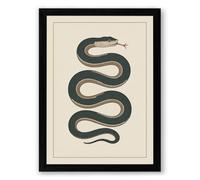 Coiled Serpent Vintage Framed Wall Art Print A4 (29.7×21cm) Black, Wall Decor for Living Room, Bedroom, Office & Home, Ready to Hang, Art Gift