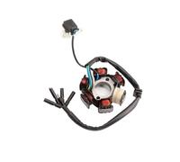 Coils Ignition Stator Magneto 6 POLE Motorcycle Stator Plate Magneto Generator Coil For 110cc 125cc 150cc Coil Magneto Stator Plate Ignition