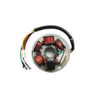 Coils Ignition Stator Magneto Motorcycle Generator Stator Engine Coil For PX125 PX150 PX200 PX125-150-200e PX 125 150 200 217983 6 Poles Plate