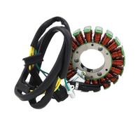 Coils Ignition Stator Magneto Motorcycle Ignition Magneto Stator Coil For DR200SE DR125SE Engine Stator Generator Coil 32101-42A40 32101-42A30 Parts