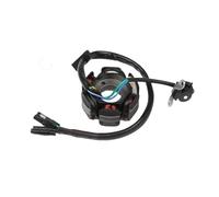 Coils Ignition Stator Magneto Motorcycle Magneto Stator Ignition Coil For YX150 YINXIANG 150cc BSE For SDG Pitsterpro Start Engine Generator Stator Coil Ignition