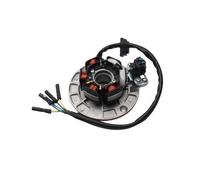 Coils Ignition Stator Magneto YX150 YX160 Magneto Stator Ignition Coil For YINXIANG YX 150cc 160cc BSE SSR GPX Motorcycle Magneto Stator Coil