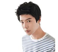 Cokbyavla Beau Hair Short Men Wigs Black Handsome Man Fashion Brown Cool Wig Wig for Male wig Hair Extensions for Women (A, One Size)