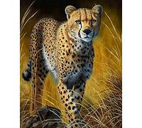 COKYIS Cross Stitch Kits for Adults Stamped Animal Cheetah 11CT Printed Cross Stitch Kits,Counted Embroidery Kits for Beginner Wall Art Home Decoration 40x50cm