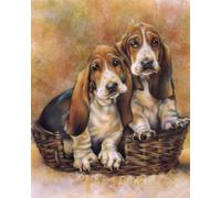 COKYIS Cross Stitch Kits for Adults Stamped Basset Hound 11CT Printed Cross Stitch Kit,Counted Embroidery Kits for Beginner Wall Art Home Decoration 40x50cm