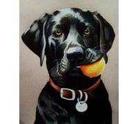 COKYIS Cross Stitch Kits for Adults Stamped Black Labrador Retriever 11CT Printed Cross Stitch Kit,Counted Embroidery Kits for Beginner Wall Art Home Decoration 40x50cm