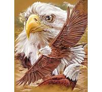 COKYIS Cross Stitch Kits for Adults Stamped, Eagle 11CT Printed Cross Stitch Kits,Counted Embroidery Kits for Beginner Wall Art Home Decoration 40x50cm