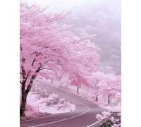 COKYIS Stamped Cross Stitch Kits Cherry Blossom Highway Scenery 11CT Counted Printed Cross Stitch Kit,Preprinted Pattern Embroidery Starter Kit for Beginner Kids and Adults 40x50cm