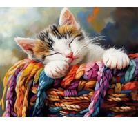 COKYIS Stamped Cross Stitch Kits Sleeping cat 11CT Counted Printed Cross Stitch Kit,Preprinted Pattern Embroidery Starter Kit for Beginner Kids and Adults 40x50cm
