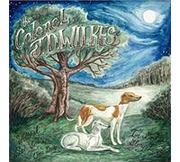 Col JD Wilkes - Will I See You Again In God's Glory Land? [VINYL]